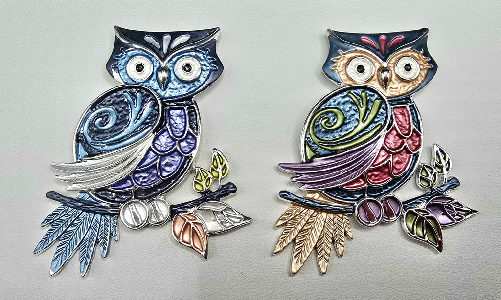 The Wise OWL Magnetic Brooch