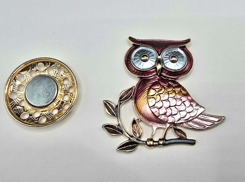The Wise OWL Magnetic Brooch