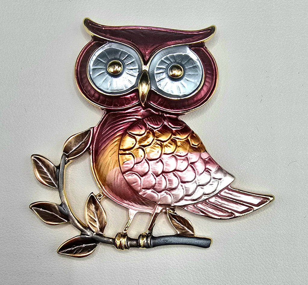 The Wise OWL Magnetic Brooch